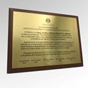 Imagen de Placa de reconocimiento M3.112