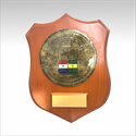 Imagen de Placa de reconocimiento M3.150